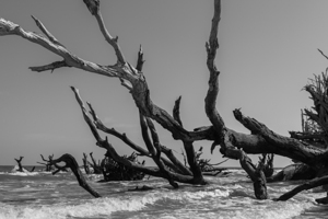 Violent Beach