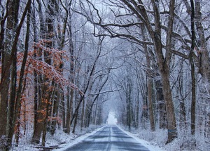 Winter Roads