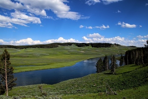 Yellow stone national park