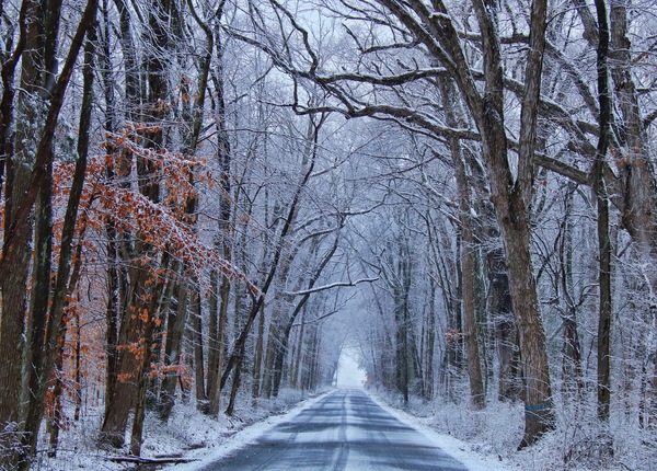 Winter Roads by Chase2themac