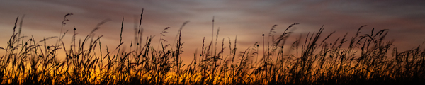 Horizons Melting Point by Chase2themac