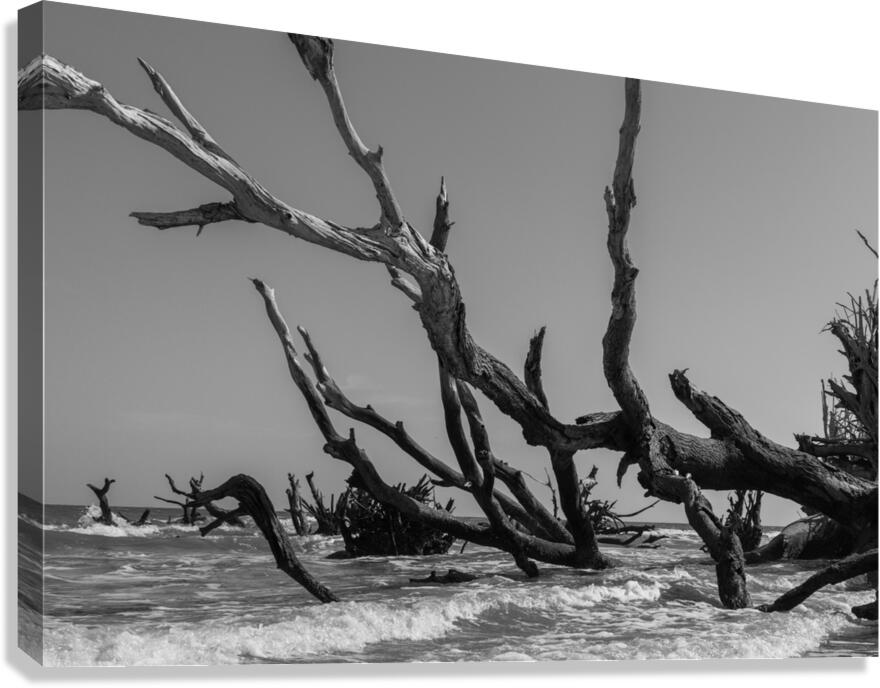 Violent Beach Canvas Print