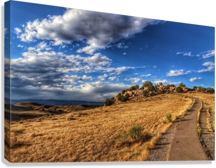 Pit Stop Canvas Print