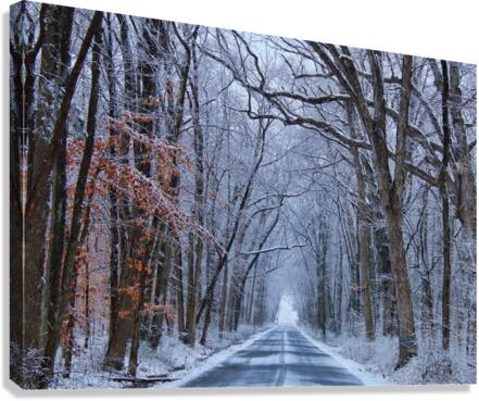 Winter Roads Canvas Print