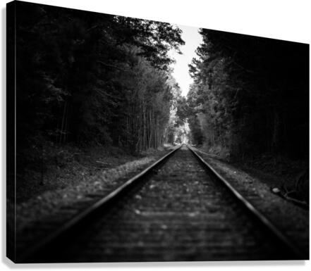 The Wrong Track Canvas Print