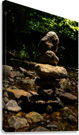 Finding Balance Canvas Print
