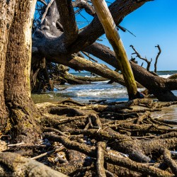 A Path Forward 