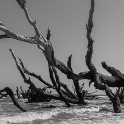 Violent Beach