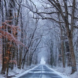 Winter Roads