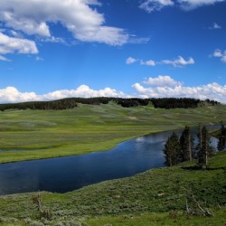 Yellow stone national park