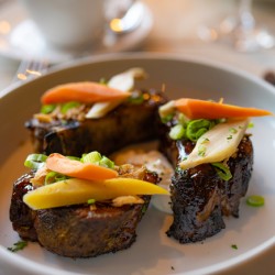 Short Story Ribs