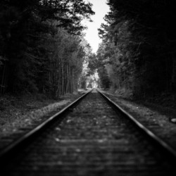 The Wrong Track