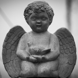 Cherub of Doom