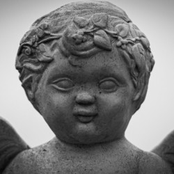 Dont Blink