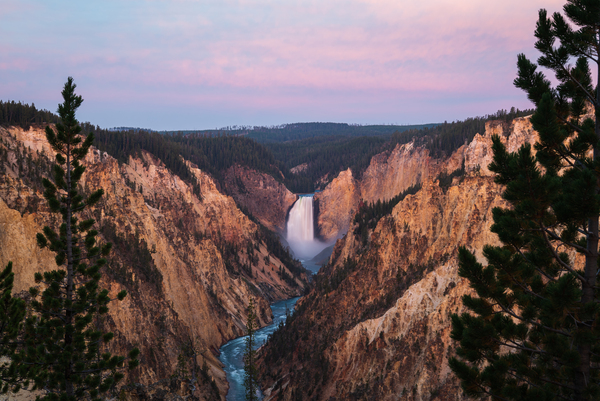 Grand Canyon of the Yellowstone Sunrise by Live Free Photo Art