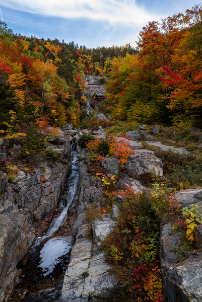 Silver Cascade by Live Free Photo Art