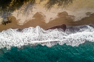 Hawaii Beach