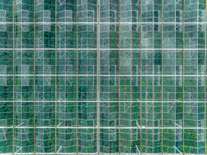Vegetable Greenhouse