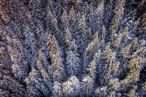 Switzerland Winter Landscape 5
