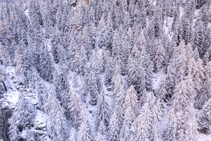 Switzerland Winter Landscape 7