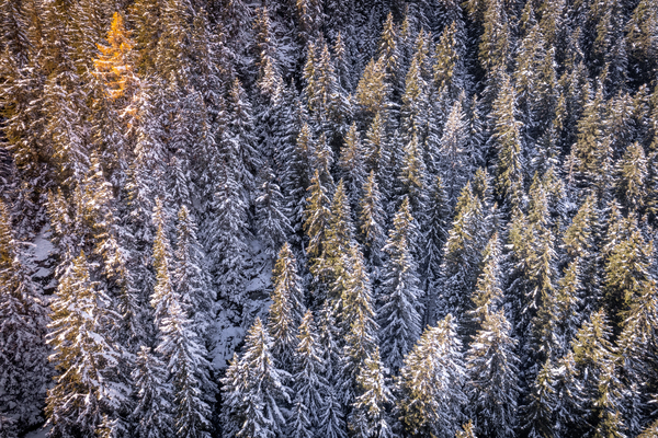 Switzerland Winter Landscape 1 by cloudvisual