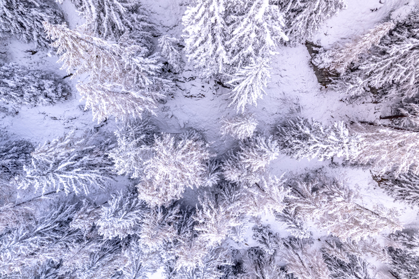 Switzerland Winter Landscape 10 by cloudvisual