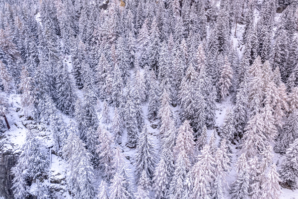 Switzerland Winter Landscape 7 by cloudvisual
