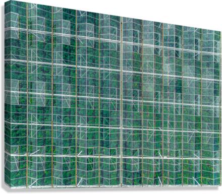 Vegetable Greenhouse Canvas Print