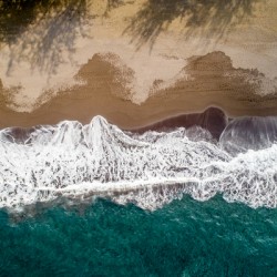 Hawaii Beach
