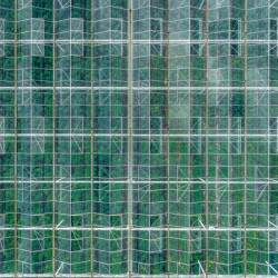 Vegetable Greenhouse