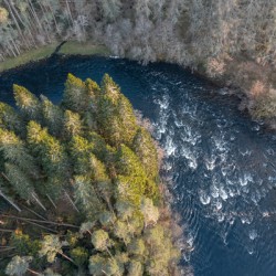 Scottish Landscape 8
