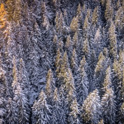 Switzerland Winter Landscape 1