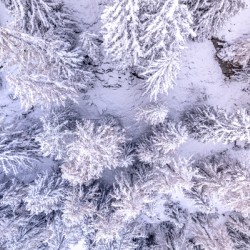 Switzerland Winter Landscape 10