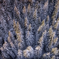 Switzerland Winter Landscape 5