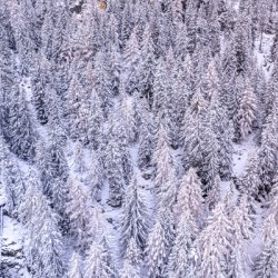 Switzerland Winter Landscape 7