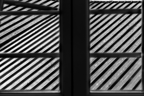 roof Print