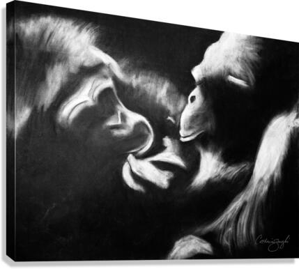 Companions Canvas Print