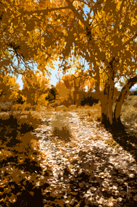 PHOTO ABSTRACT OF DIRT ROAD THROUGH FALL COLORS