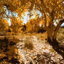 PHOTO ABSTRACT OF DIRT ROAD THROUGH FALL COLORS