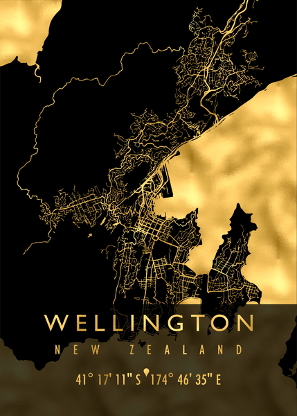 WELLINGTON MAP NEW ZEALAND by Mapolis