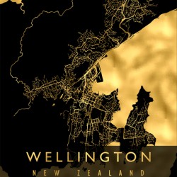 WELLINGTON MAP NEW ZEALAND
