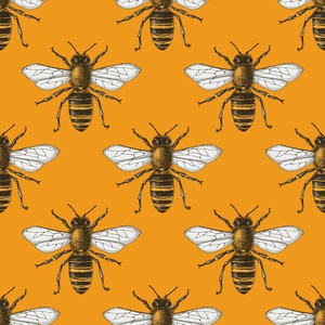 Bee Rush 