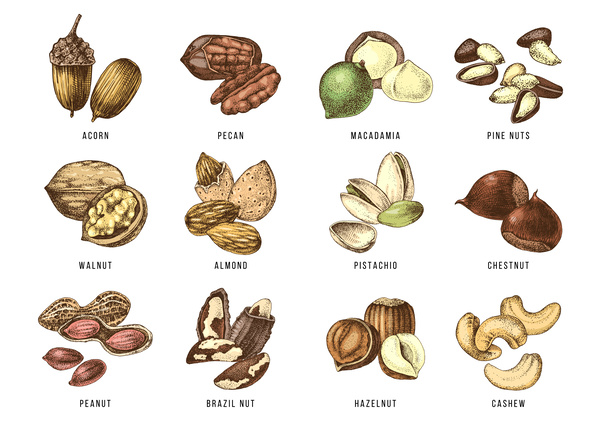 Nuts  by Pagoda