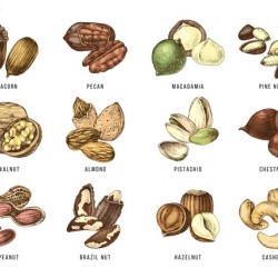 Nuts 