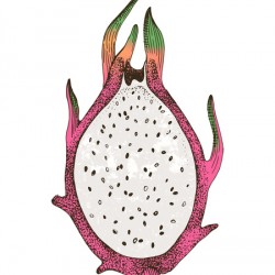 Pitaya