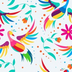 Color Me Bird