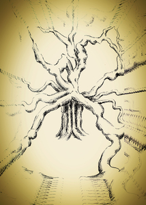 The Oldest Tree