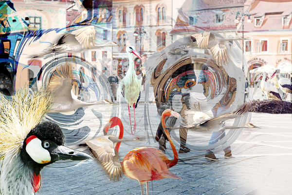 StorksTime Print
