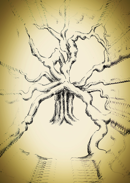 The Oldest Tree Print