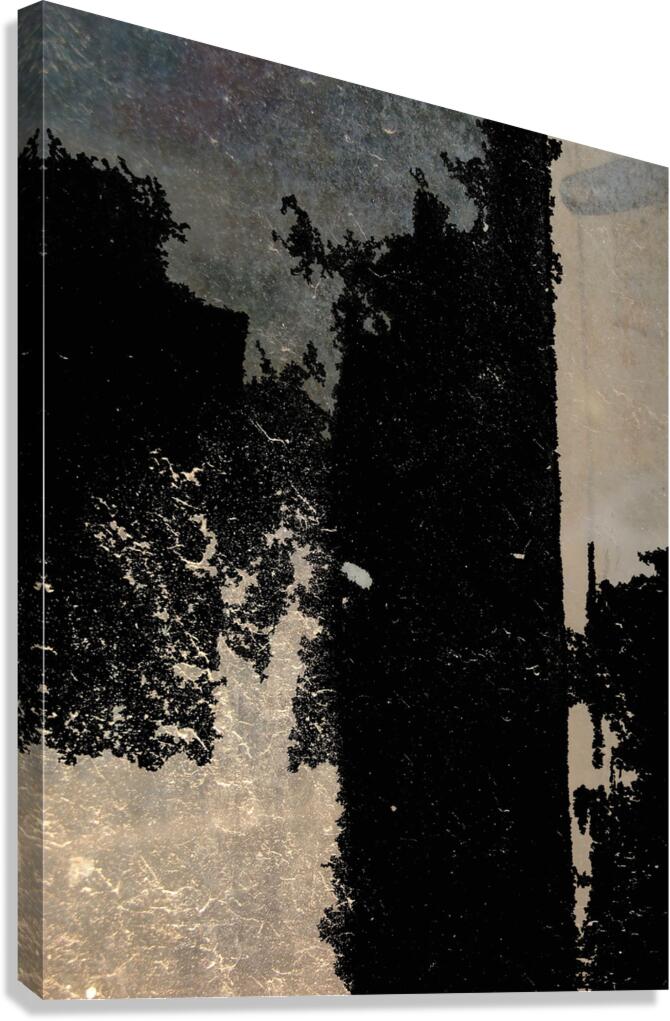 By Mistake Canvas Print